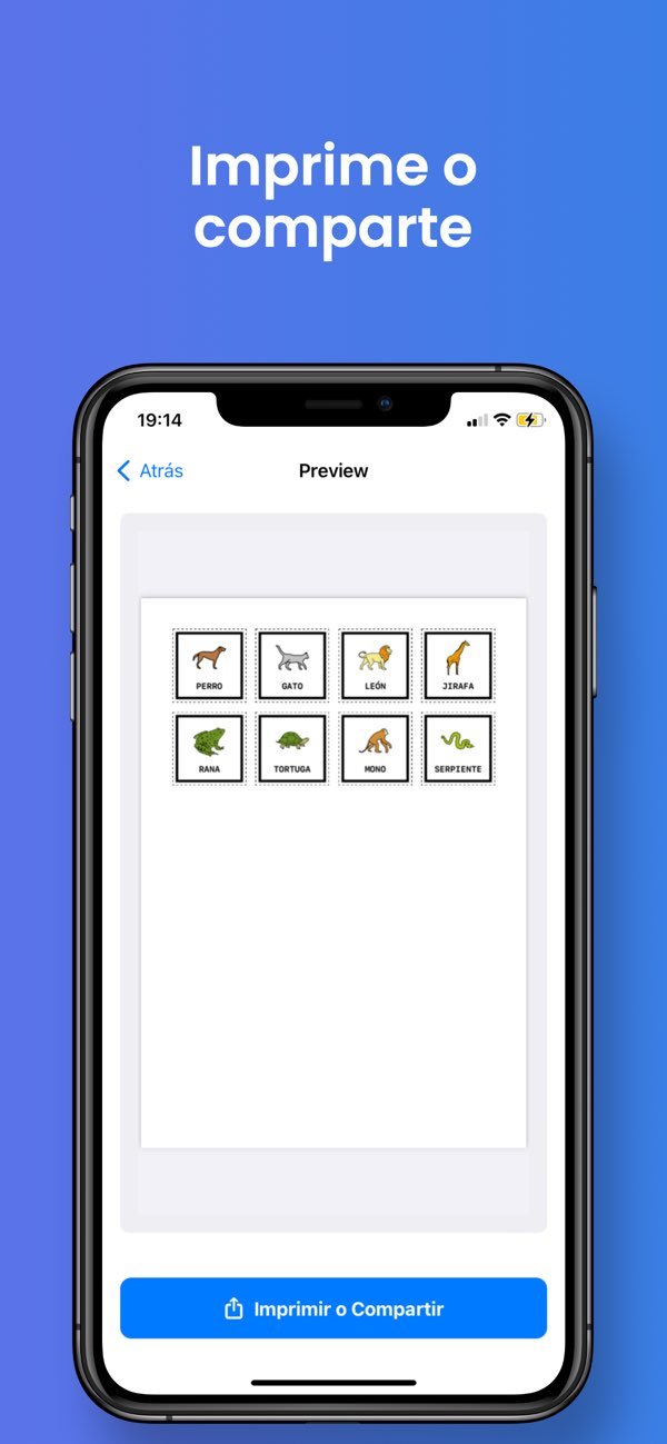 PictoPrinter — vista previa PDF